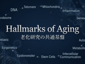 Hallmarks of Aging