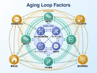 Loop Factors of Aging