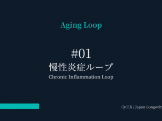 Slide with teal 'Aging Loop' title, '#01', Japanese text, and 'Chronic Inflammation Loop' subtitle on a dark blue gradient; turquoise bar bottom left; credits bottom right.