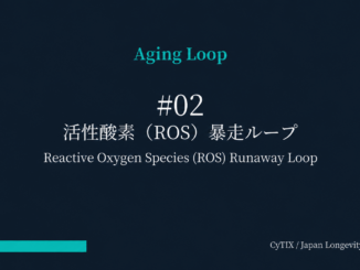 Slide title: Aging Loop, #02 Reactive Oxygen Species (ROS) Runaway Loop with Japanese subtitle and English translation, on a dark gradient background. Bottom-left turquoise bar, bottom-right text credit: CyTIX / Japan Longevity Insider.