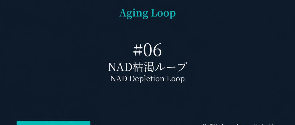 Dark blue gradient slide with 'Aging Loop' at top, '#06' and 'NAD Depletion Loop' (Japanese) centered; turquoise bar bottom left; CyTIX / Japan Longevity Insider credit bottom right.