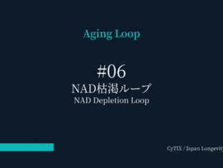 Dark blue gradient slide with 'Aging Loop' at top, '#06' and 'NAD Depletion Loop' (Japanese) centered; turquoise bar bottom left; CyTIX / Japan Longevity Insider credit bottom right.