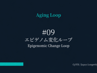 Slide cover titled 'Aging Loop' in teal, displaying '#09' and the Japanese title エピゲノム変化ループ with the English subtitle Epigenomic Change Loop on a dark blue gradient; turquoise bar bottom left and CyTIX / Japan Longevity Insider watermark bottom right.