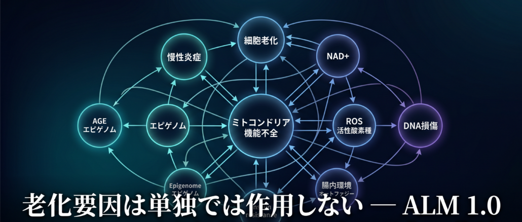 Aging Loop Network