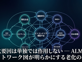 Aging Loop Network