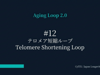 Telomere Shortening Loop' on a dark blue gradient background; teal bar at lower left and 'CyTIX / Japan Longevity Insider' credit at bottom right.