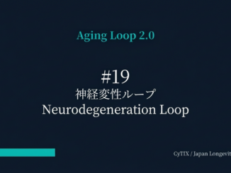 Slide title 'Aging Loop 2.0' with '#19 神経変性ループ / Neurodegeneration Loop' centered on a dark gradient background; teal progress bar bottom-left; CyTIX / Japan Longevity Insider bottom-right.